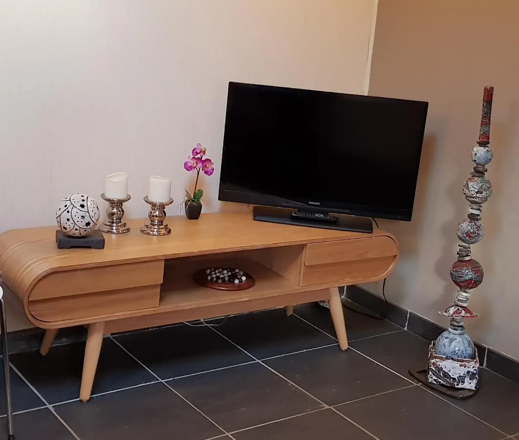 Gite Lotus Du Clos Des Pradals Climatise Tarascon-sur-Ariege Holiday home